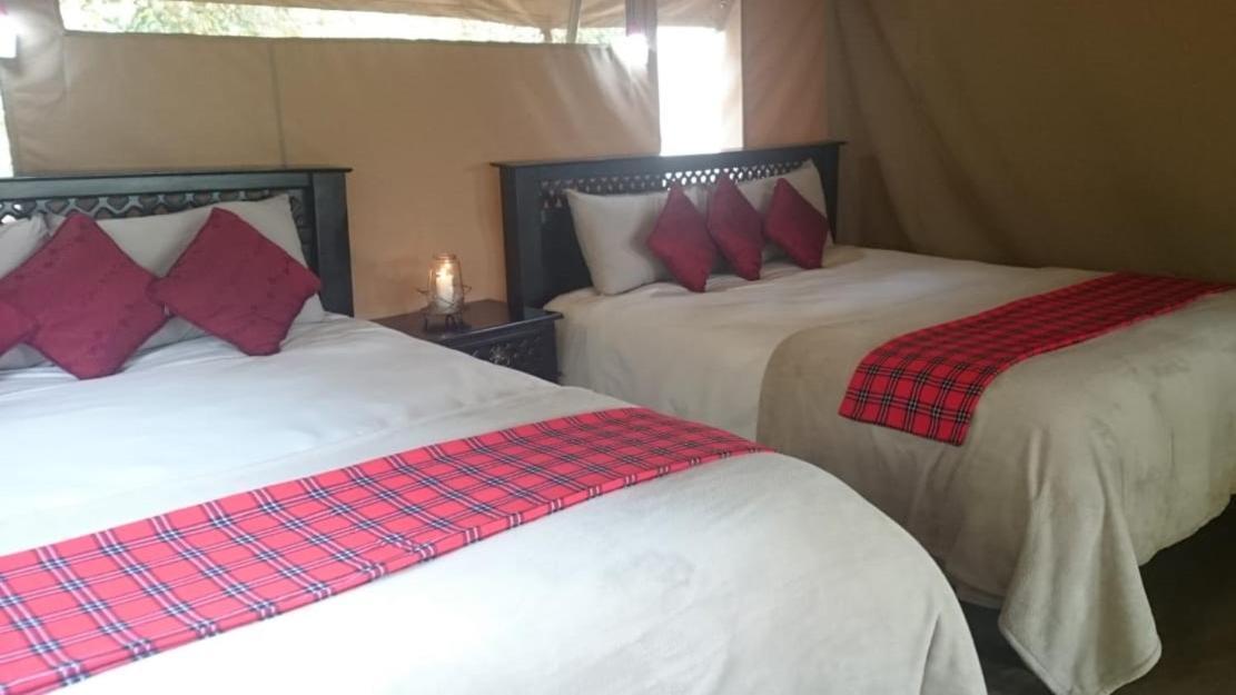 마사이마라 Hammerkop Migration Camp B&B 외부 사진