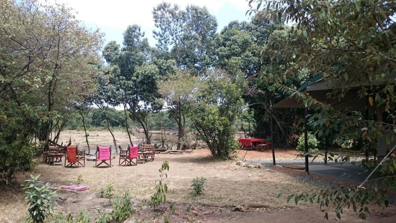 마사이마라 Hammerkop Migration Camp B&B 외부 사진