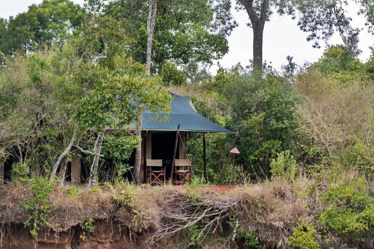 마사이마라 Hammerkop Migration Camp B&B 외부 사진